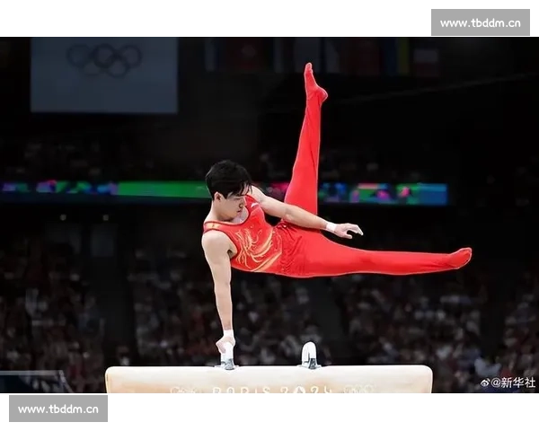 竞技体操的技巧与训练方法探析：提升竞技水平的关键要素与发展趋势 - 副本 - 副本 - 副本